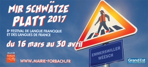 2017_festival_platt_banniere_19295.jpg