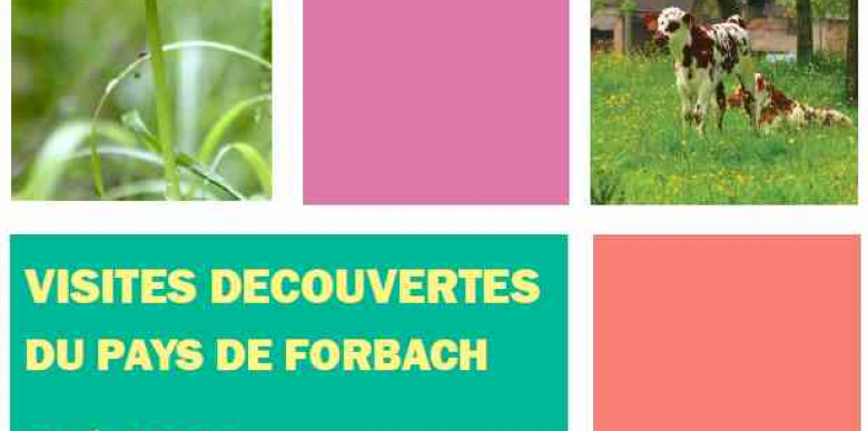 vistitedecouvertesete22.jpg