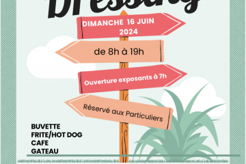vide dressing