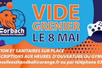 vide grenier hand26