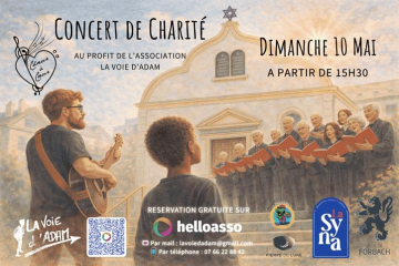 concert