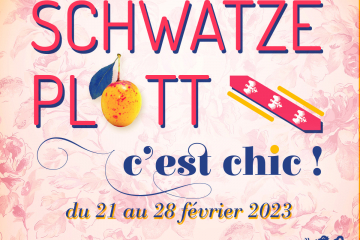 Festival de Platt 2023