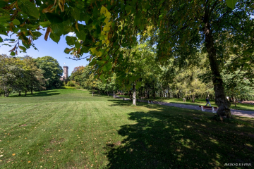 Parc du Schlossberg