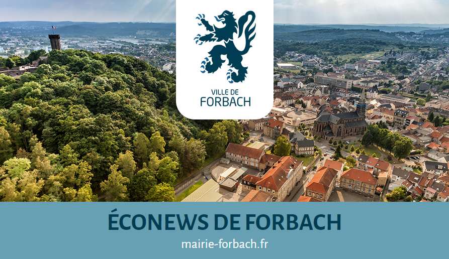 newsletter économique