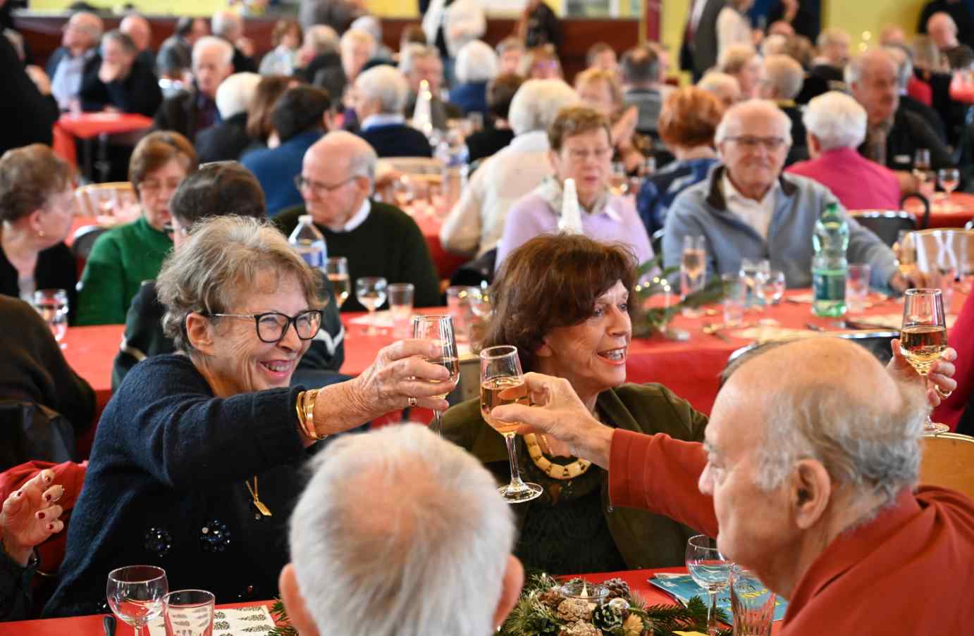 repas_seniors.jpg