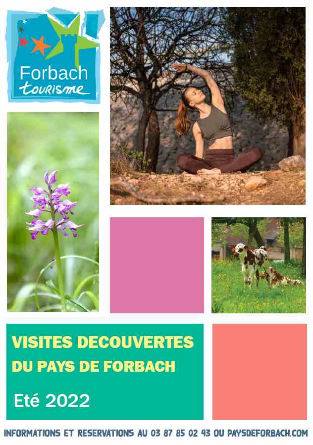 visite_decouverteete22.jpg